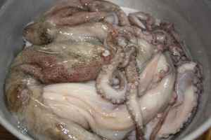 Il polpo fresco è sempre meglio surgelarlo per qualche giorno prima di cucinarlo