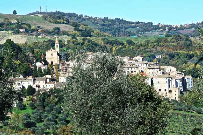 Cartoceto terra di ulivi