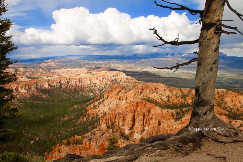 Bryce Point