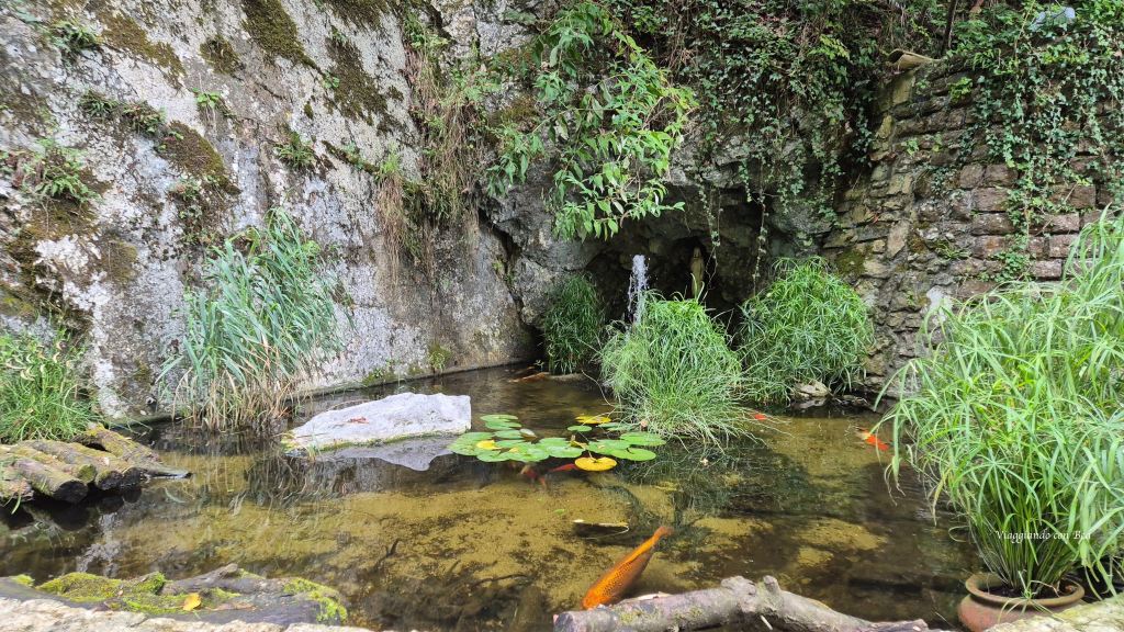 Un laghetto con pesci koi e piante acquatiche, circondato da una parete rocciosa coperta di muschio e vegetazione.
