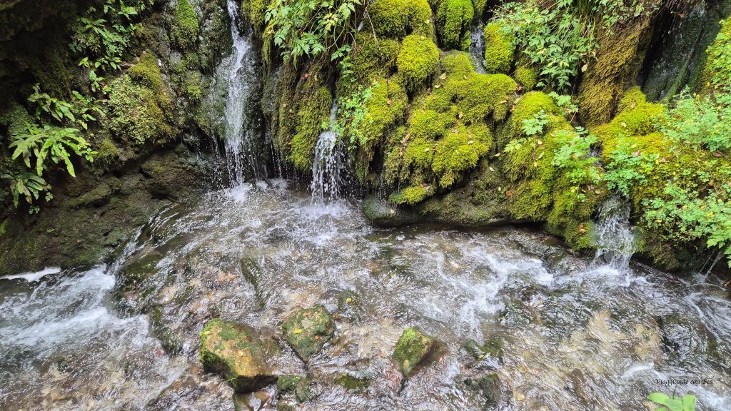 Una vista di una cascata circondata da muschio e vegetazione verde, con acqua che scorre su rocce nel ruscello sottostante.