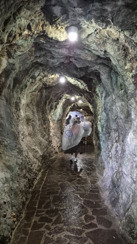 Un passaggio stretto e roccioso illuminato da luci a soffitto, con visitatori che indossano impermeabili, mentre camminano attraverso una grotta.