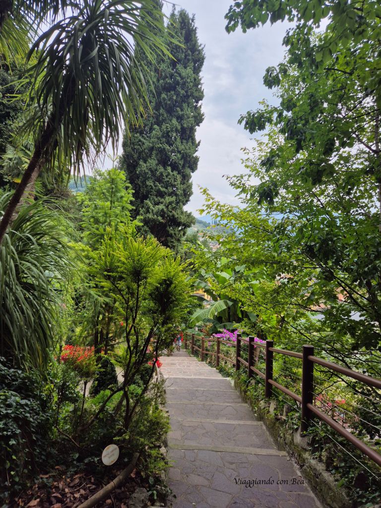 Sentiero in un giardino con piante lussureggianti e alberi alti, circondato da recinzioni di legno.